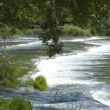 Wasser